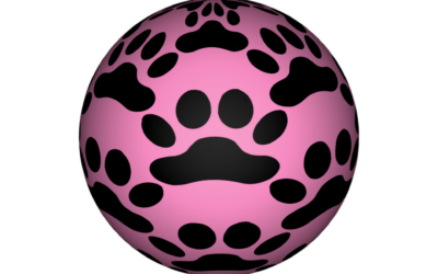 Wat Is Het Beste Hondenspeelgoed?