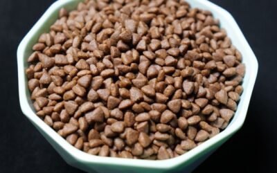 Welk Hondenvoer Is Het Beste?