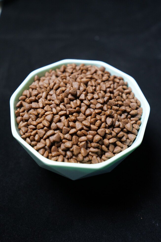 Home 2 Welk Hondenvoer Is Het Beste?